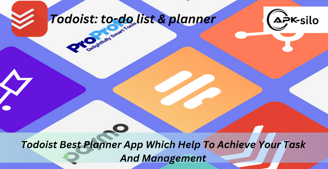 Todoist Best Planner App Which Help To Achieve Your Task And Management 