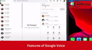 Features of Google Voice