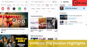 VidMate Old Version Highlights