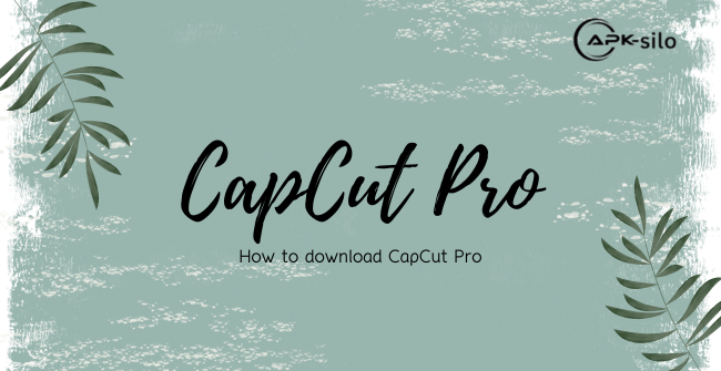 CapCut pro