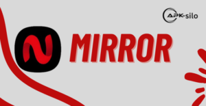 Net mirror